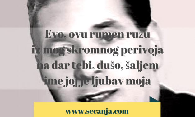 Zaim Imamović biografija i pesme