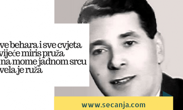 Sve behara i sve cvjeta – Zaim Imamović