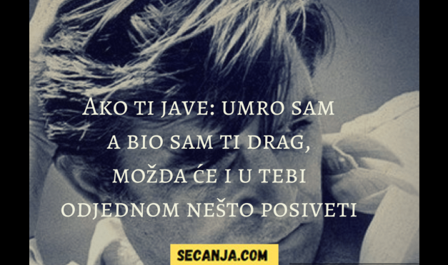 Besmrtna pesma – Mika Antić