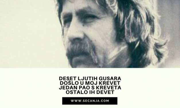 Deset ljutih gusara – Ljubivoje Ršumović