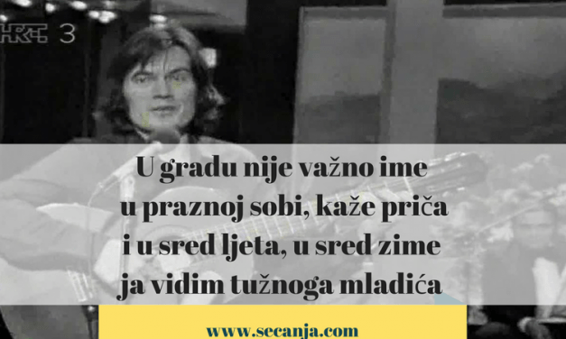 Mačka – Ibrica Jusić