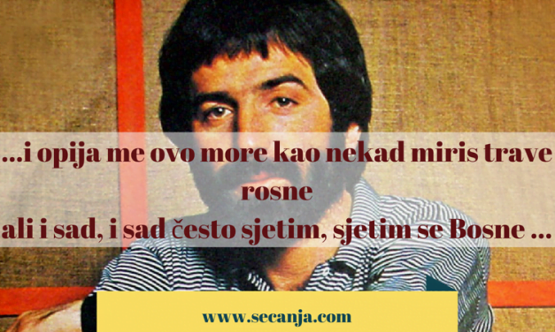 Seid Memić Vajta biografija i pesme