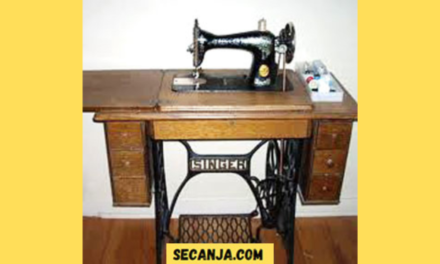 Strah je odlučio: biću šnajderka