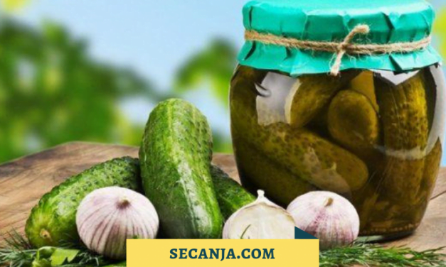 Jedan način da spremimo krastavce za zimu