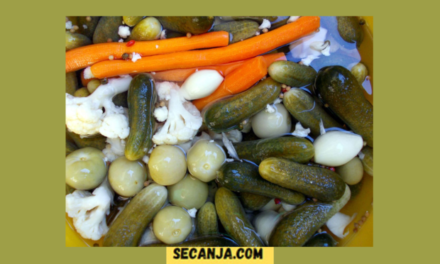 Turšija  starinski recept