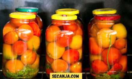 Ceo paradajz za zimu