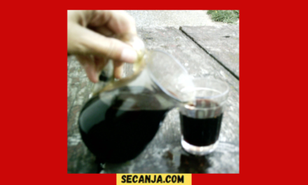 In vino veritas : U vinu je spas