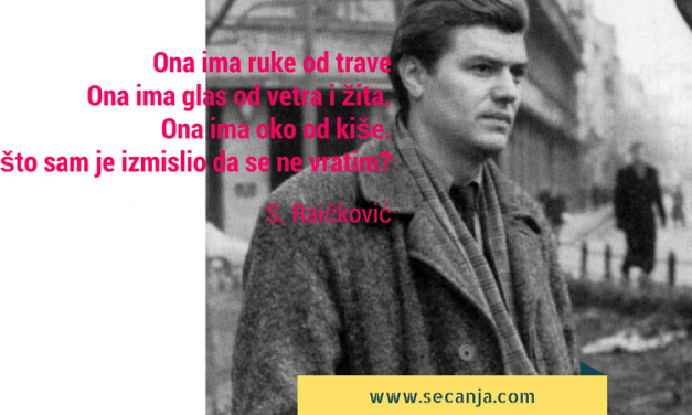 Povratak – Stevan Raičković