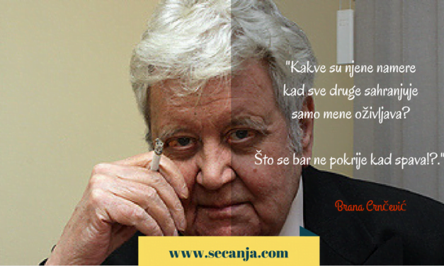 Kako Ana rešava ukrštene reči – Brana Petrović