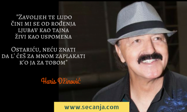 Ostariću, neću znati – Haris Džinović
