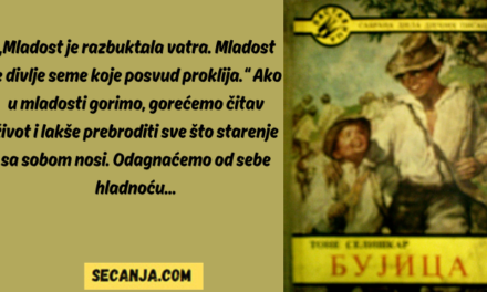 Bruji mi Seliškarova „Bujica“ kroz glavu