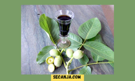 Liker od zelenih oraha – recept