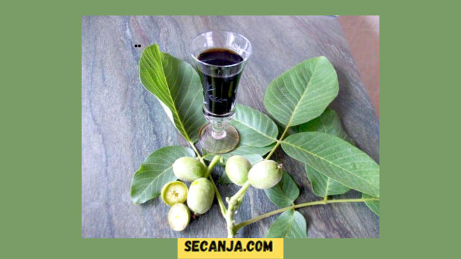 Liker od zelenih oraha – recept