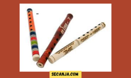 Hej svirale, frule i frulice, ehej pastirice, volarice, šupelke, dvojnice, piščalke…