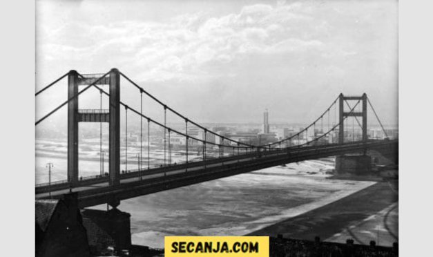 Most Kralja Aleksandra