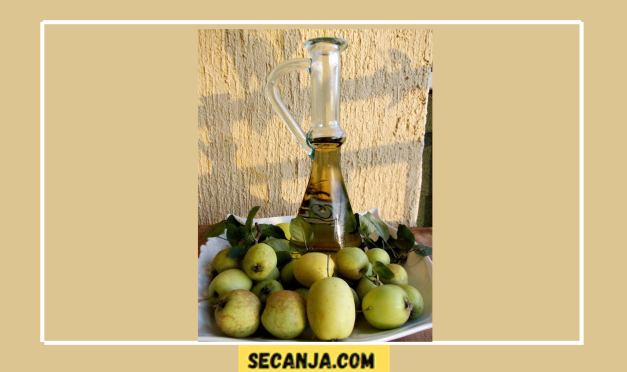 Domaće jabukovo sirće