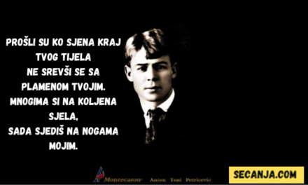 Ti ne voliš i ne žališ mene