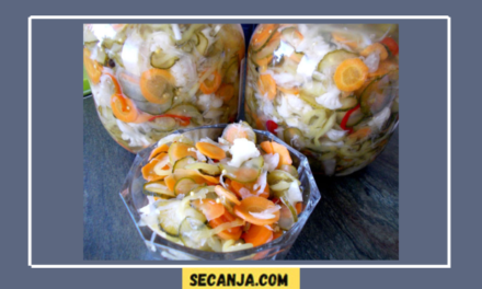 Šarena salata za zimu