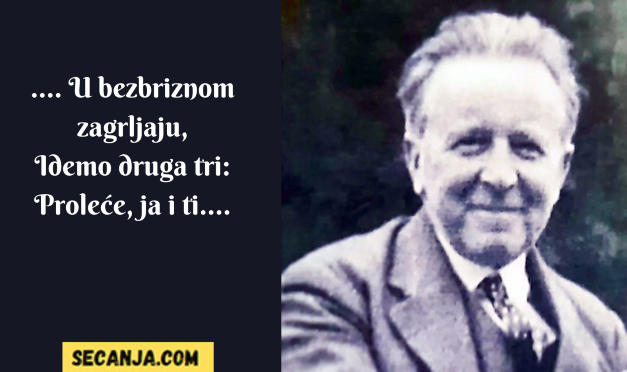 Milan Ćurčin biografija i stihovi