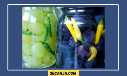 Grožđe u turšiji – recept