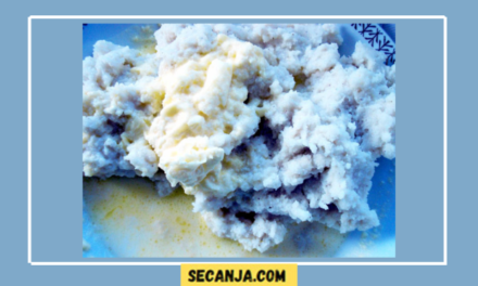 Palenta sa začinom – recept