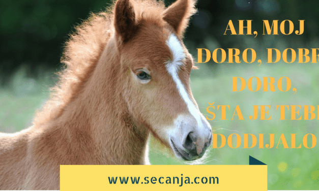 Ah moj doro dobri doro tekst i video