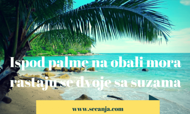 Ispod palme na obali mora