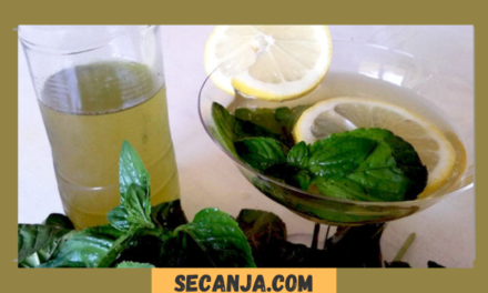 Domaći sirup od nane – recept